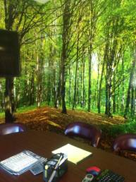 wall-covering-confroom-2 custom wall murals